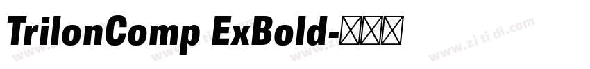TrilonComp ExBold字体转换